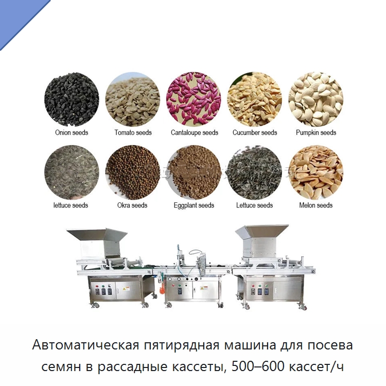 Автоматическая пятирядная машина для посева семян в рассадные кассеты, 500–600 кассет/ч