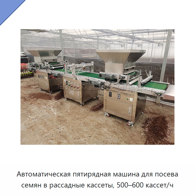 Автоматическая пятирядная машина для посева семян в рассадные кассеты, 500–600 кассет/ч