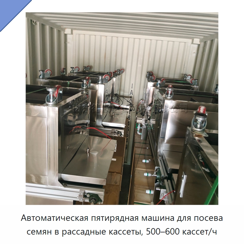Автоматическая пятирядная машина для посева семян в рассадные кассеты, 500–600 кассет/ч