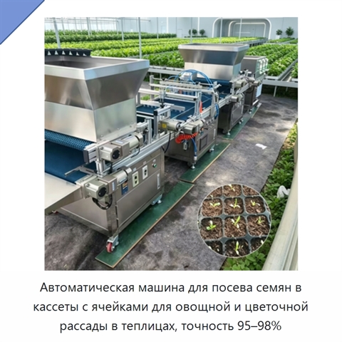 Автоматическая машина для посева семян в кассеты с ячейками для овощной и цветочной рассады в теплицах, точность 95–98%