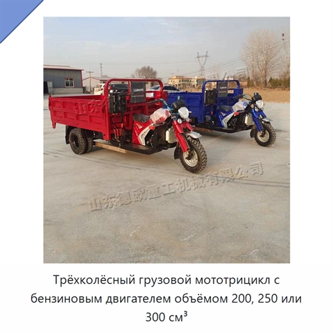 Трёхколёсный грузовой мототрицикл с бензиновым двигателем объёмом 200, 250 или 300 см³