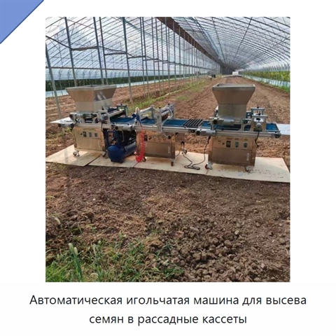 Автоматическая игольчатая машина для высева семян в рассадные кассеты