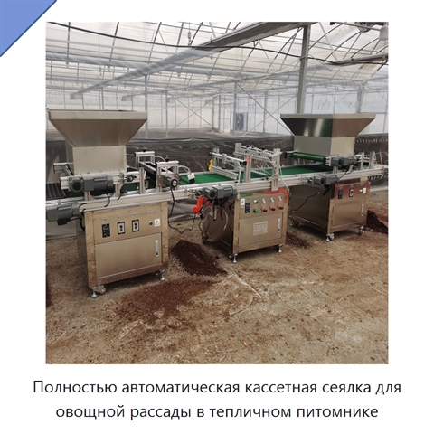 Полностью автоматическая кассетная сеялка для овощной рассады в тепличном питомнике
