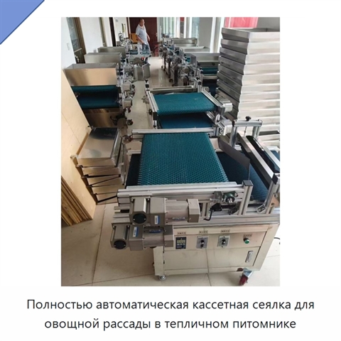 Полностью автоматическая кассетная сеялка для овощной рассады в тепличном питомнике