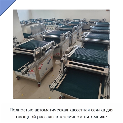 Полностью автоматическая кассетная сеялка для овощной рассады в тепличном питомнике