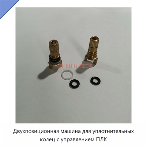 Двухпозиционная машина для уплотнительных колец с управлением ПЛК