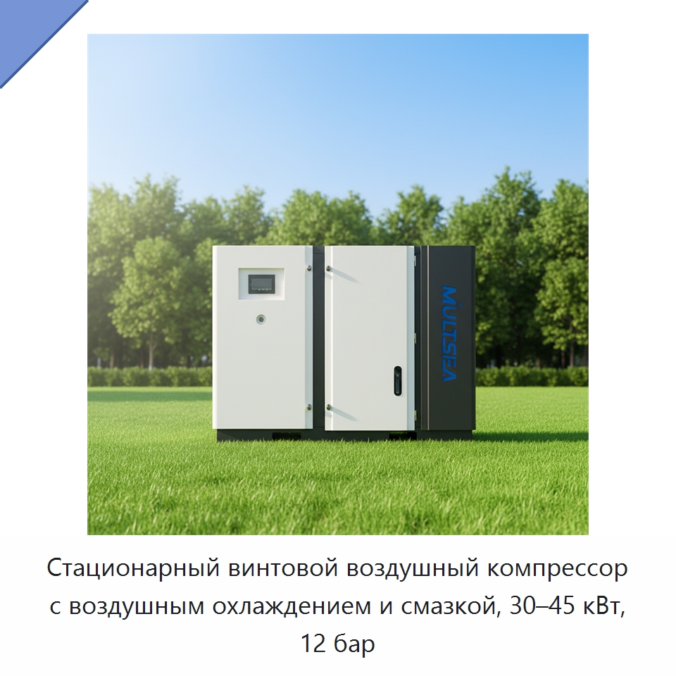 Стационарный винтовой воздушный компрессор с воздушным охлаждением и смазкой, 30–45 кВт, 12 бар — Промышленные компрессоры