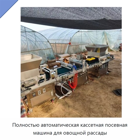 Полностью автоматическая кассетная посевная машина для овощной рассады