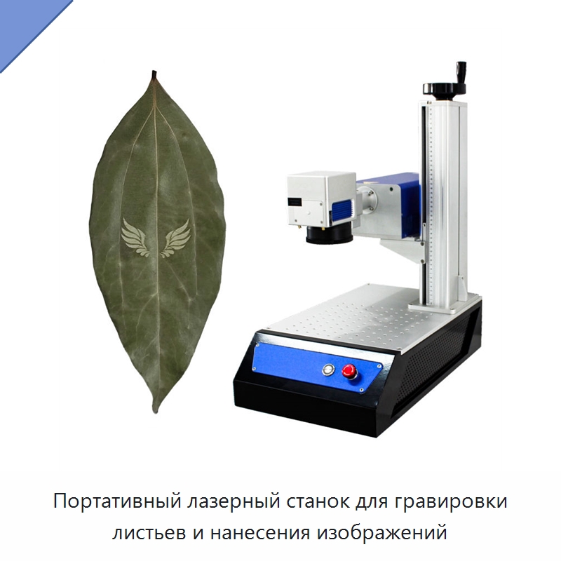 Портативный лазерный станок для гравировки листьев и нанесения изображений — Лазерные маркировочные станки