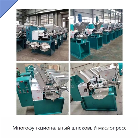 Многофункциональный шнековый маслопресс