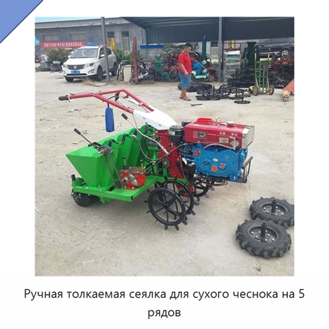 Ручная толкаемая сеялка для сухого чеснока на 5 рядов