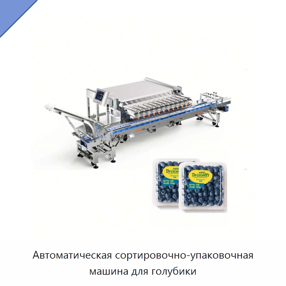 Автоматическая сортировочно-упаковочная машина для голубики — Многофункциональные упаковочные машины