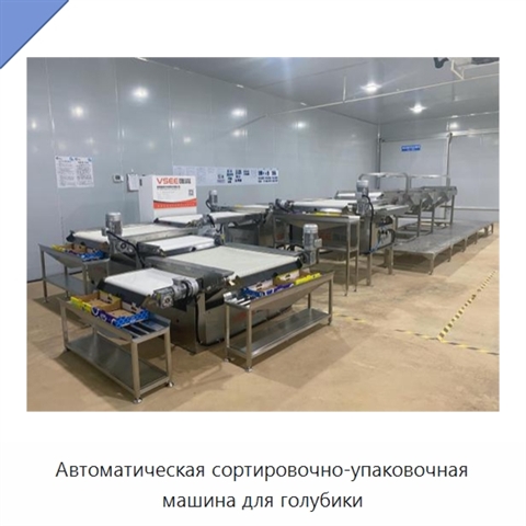 Автоматическая сортировочно-упаковочная машина для голубики