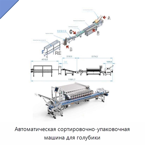 Автоматическая сортировочно-упаковочная машина для голубики