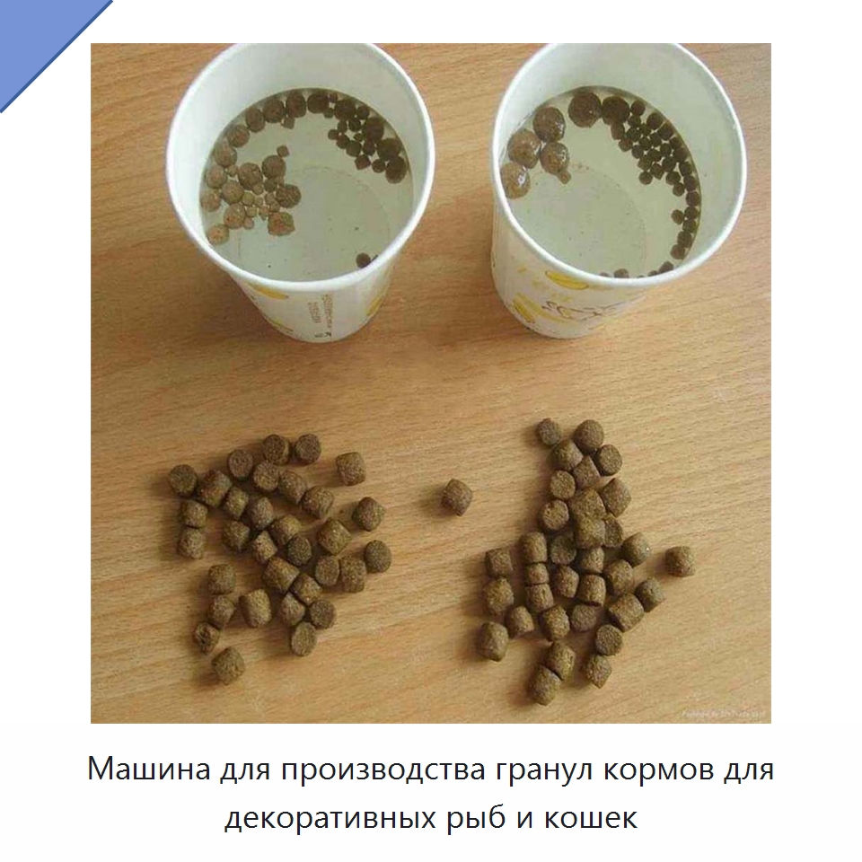 Машина для производства гранул кормов для декоративных рыб и кошек