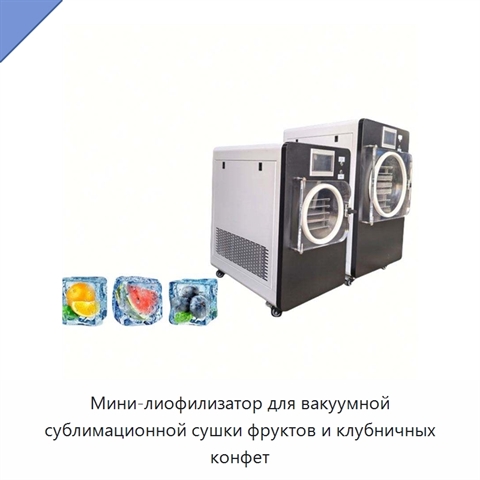 Мини-лиофилизатор для вакуумной сублимационной сушки фруктов и клубничных конфет