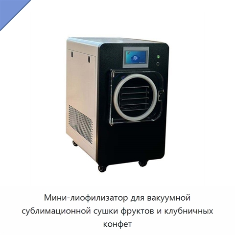 Мини-лиофилизатор для вакуумной сублимационной сушки фруктов и клубничных конфет