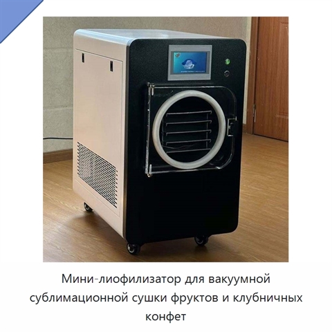Мини-лиофилизатор для вакуумной сублимационной сушки фруктов и клубничных конфет