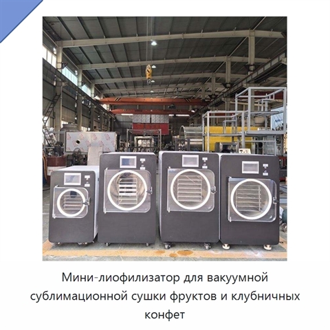 Мини-лиофилизатор для вакуумной сублимационной сушки фруктов и клубничных конфет