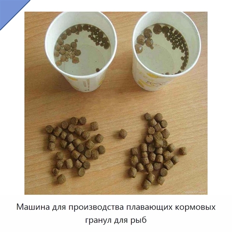 Машина для производства плавающих кормовых гранул для рыб