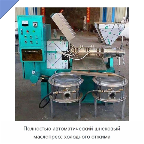 Полностью автоматический шнековый маслопресс холодного отжима
