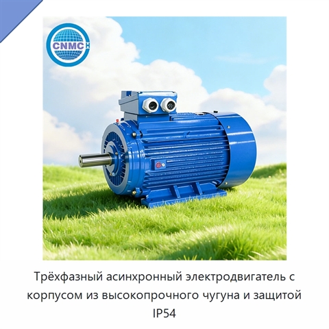 Трёхфазный асинхронный электродвигатель с корпусом из высокопрочного чугуна и защитой IP54
