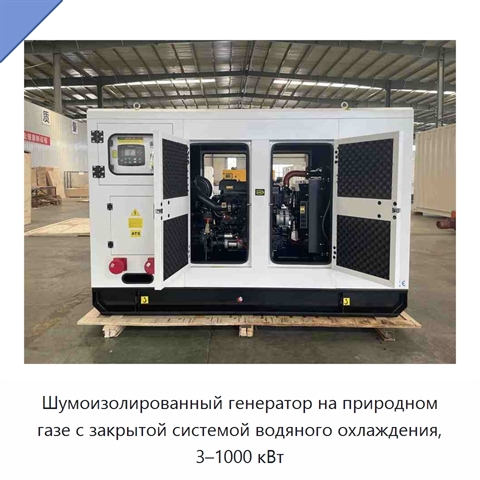 Шумоизолированный генератор на природном газе с закрытой системой водяного охлаждения, 3–1000 кВт