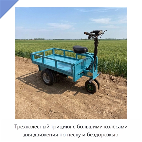 Трёхколёсный трицикл с большими колёсами для движения по песку и бездорожью