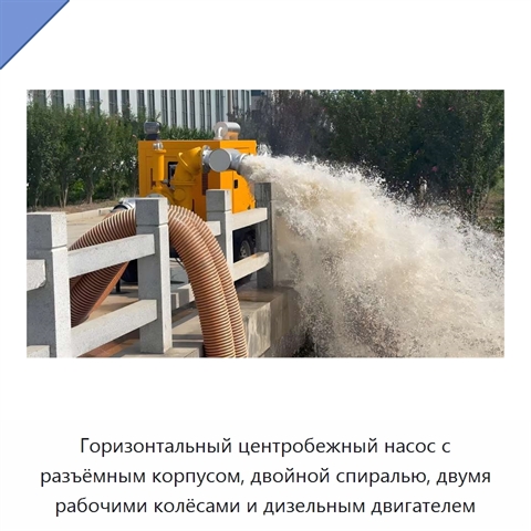 Горизонтальный центробежный насос с разъёмным корпусом, двойной спиралью, двумя рабочими колёсами и дизельным двигателем