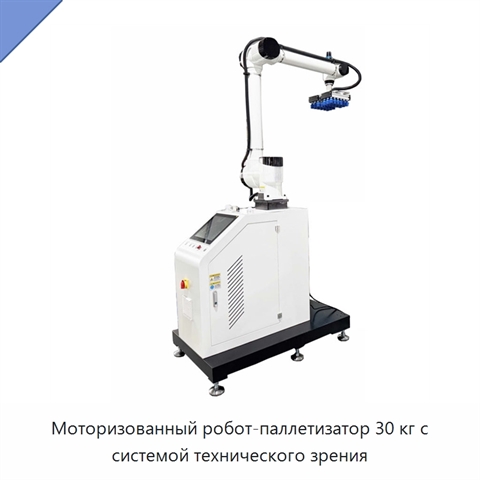 Моторизованный робот-паллетизатор 30 кг с системой технического зрения