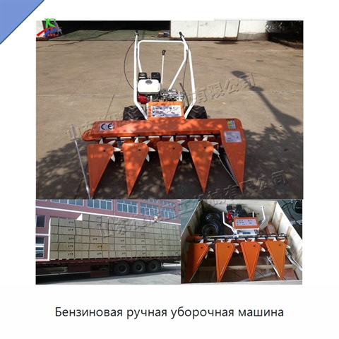 Бензиновая ручная уборочная машина