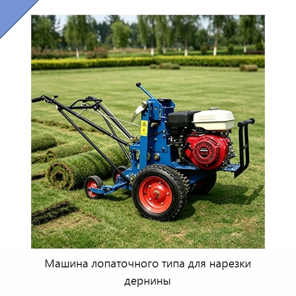 Машина лопаточного типа для нарезки дернины — Специальные сельскохозяйственные машины