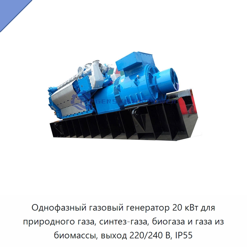 Однофазный газовый генератор 20 кВт для природного газа, синтез-газа, биогаза и газа из биомассы, выход 220/240 В, IP55 — Газотурбинные генераторы