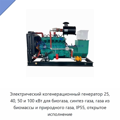 Электрический когенерационный генератор 25, 40, 50 и 100 кВт для биогаза, синтез-газа, газа из биомассы и природного газа, IP55, открытое исполнение