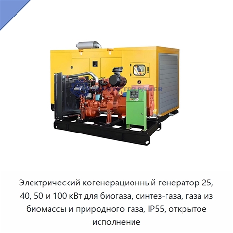 Электрический когенерационный генератор 25, 40, 50 и 100 кВт для биогаза, синтез-газа, газа из биомассы и природного газа, IP55, открытое исполнение