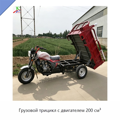Грузовой трицикл с двигателем 200 см³