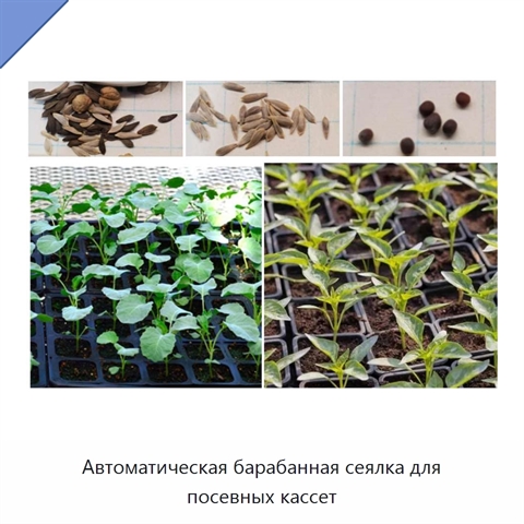 Автоматическая барабанная сеялка для посевных кассет