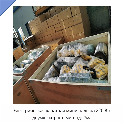 Электрическая канатная мини-таль на 220 В с двумя скоростями подъёма