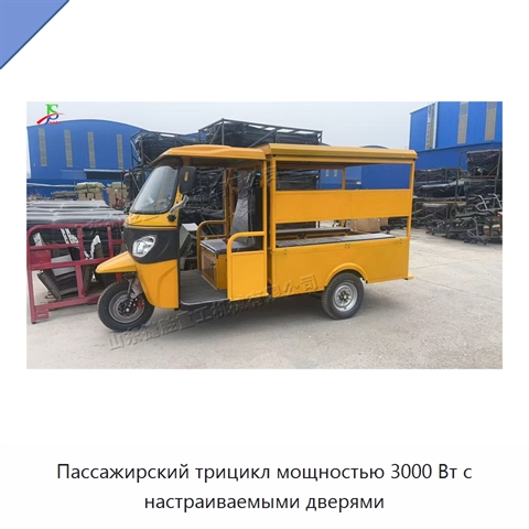 Пассажирский трицикл мощностью 3000 Вт с настраиваемыми дверями