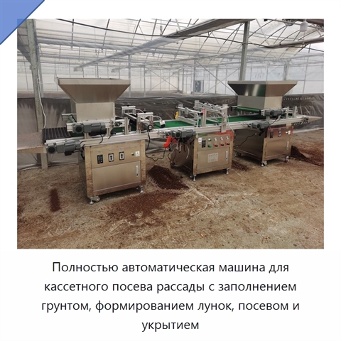 Полностью автоматическая машина для кассетного посева рассады с заполнением грунтом, формированием лунок, посевом и укрытием