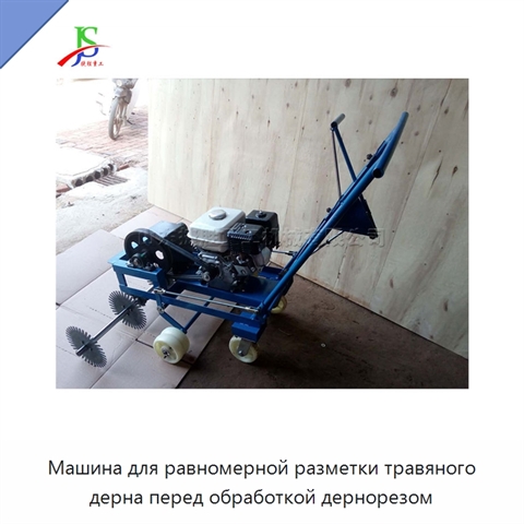 Машина для равномерной разметки травяного дерна перед обработкой дернорезом