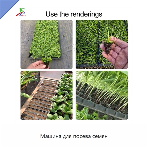 Машина для посева семян