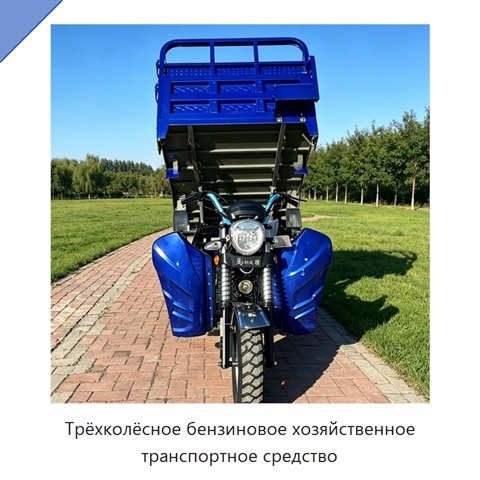 Трёхколёсное бензиновое хозяйственное транспортное средство