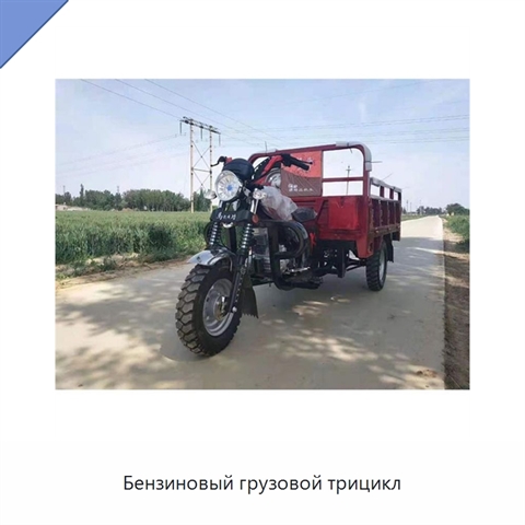 Бензиновый грузовой трицикл