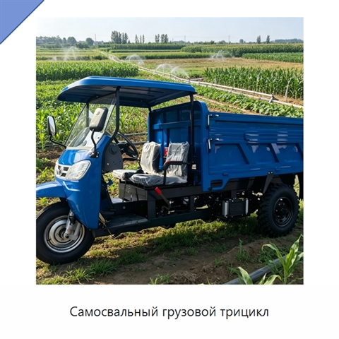 Самосвальный грузовой трицикл