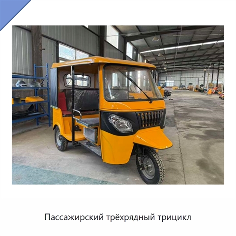 Пассажирский трёхрядный трицикл