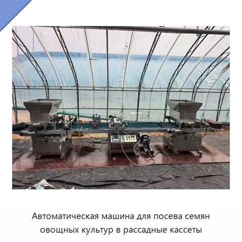 Автоматическая машина для посева семян овощных культур в рассадные кассеты