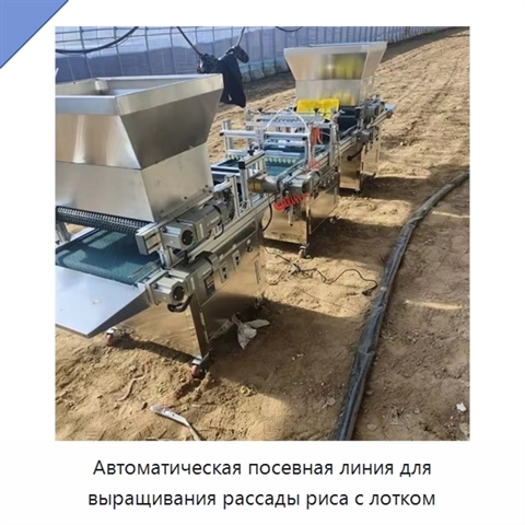 Автоматическая посевная линия для выращивания рассады риса с лотком