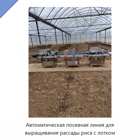 Автоматическая посевная линия для выращивания рассады риса с лотком