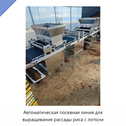 Автоматическая посевная линия для выращивания рассады риса с лотком